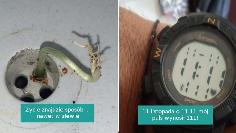 18 zdjęć pokazujących, że świat ciągle jest pełen niespodzianek Zdjęcie główne wpisu