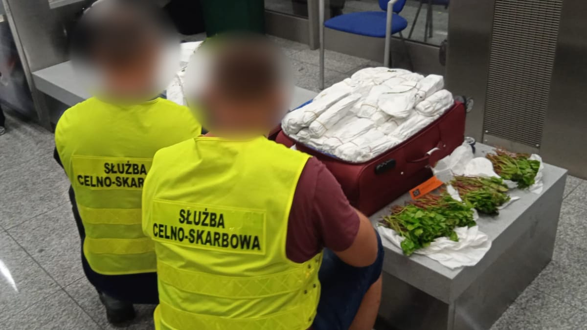 100 kg narkotyku w czterech walizkach. Dwie kobiety przyleciały z Tel Awiwu prosto w ręce celników Zdjęcie główne wpisu