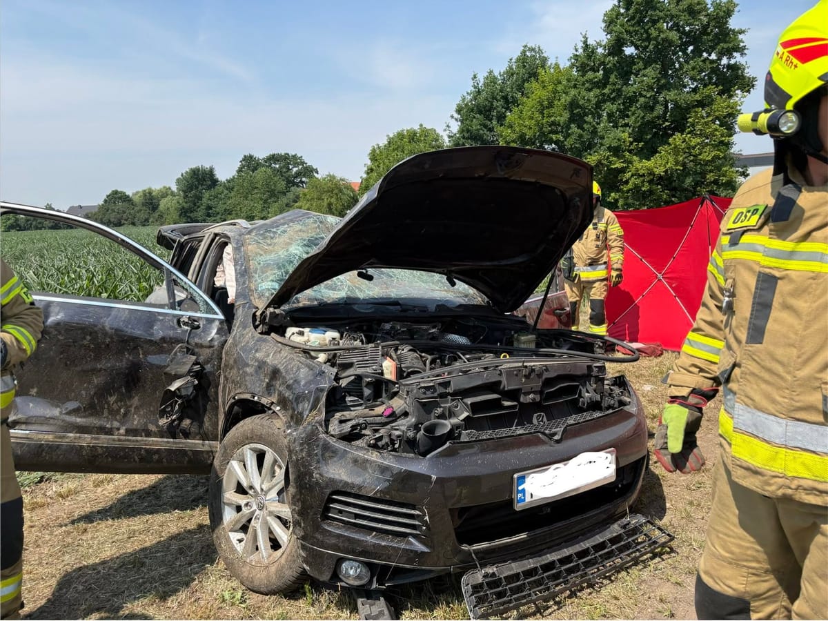 Pijany dachował, a potem twierdził, że kogoś potrącił. Strażacy przeczesywali pole kukurydzy Zdjęcie główne wpisu