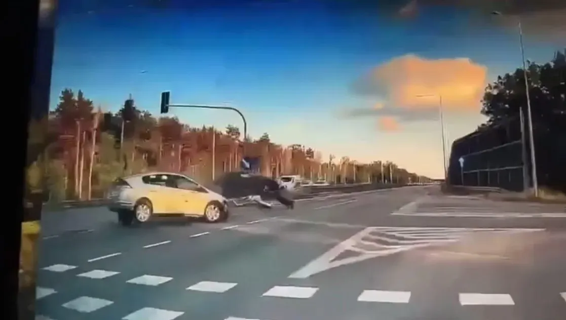 Prędkościomierz Audi zatrzymał się na 185 km/h, w momencie gdy wjechał w nich taxówkarz. Dwóch młodych mężczyzn nie żyje, kierowca w areszcie - Zielonka Zdjęcie główne wpisu