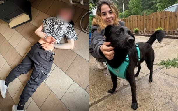 21-letni obywatel Ukrainy znęcał się nad psem, wszystko zostało nagrane. Został zatrzymany i grozi mu 3 lata więzienia Zdjęcie główne wpisu