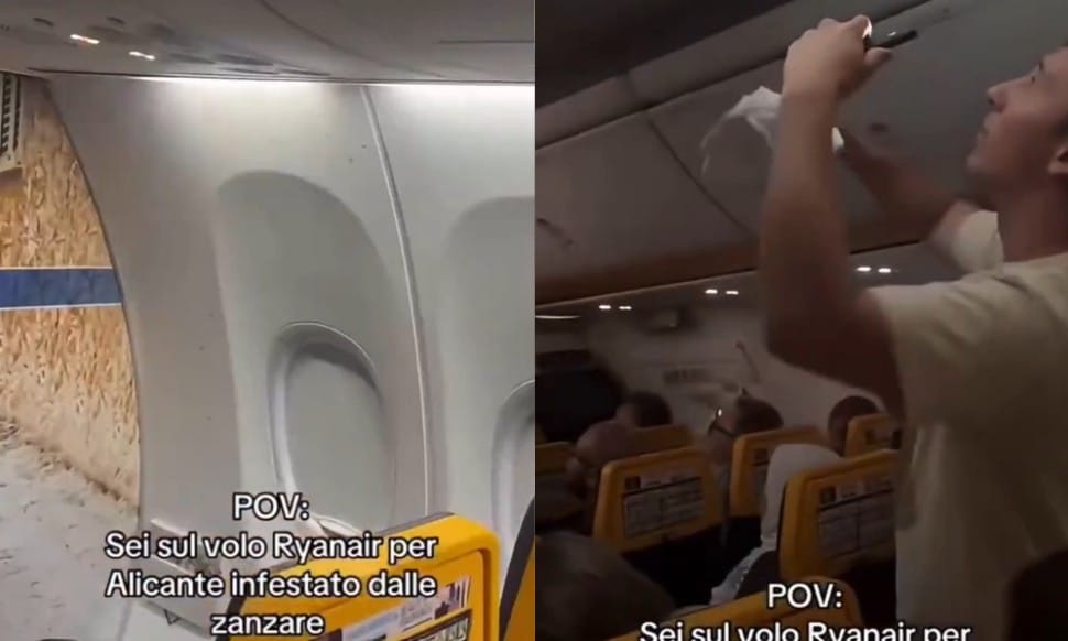 Plaga komarów opanowała samolot. Rejs z Mediolanu do Alicante opóźniony o trzy godziny Zdjęcie główne wpisu