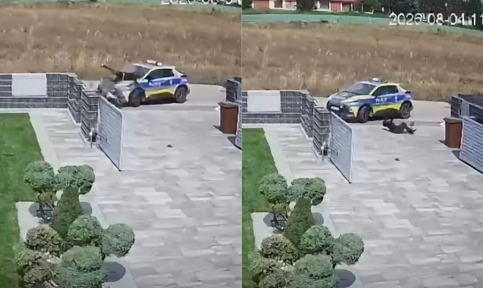 Policjant zajechał drogę 12-letniemu chłopcu na motorowerze. Zbigniew Stonoga twierdzi, że to usiłowanie zabójstwa Zdjęcie główne wpisu