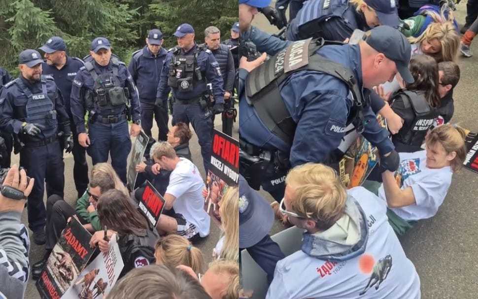 „Ja jestem chora na raka” Policja nie szczypała się z protestującymi na drodze do Morskiego Oka Zdjęcie główne wpisu