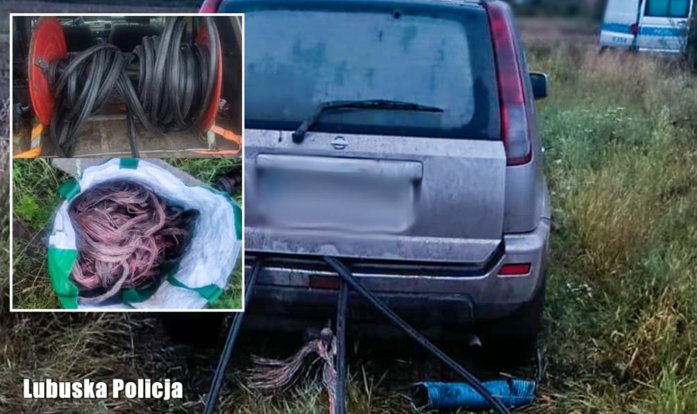 Wpadł na kradzieży kabli i próbował się wykupić. Zaoferował policjantom 4 tysiące, żeby go puścili Zdjęcie główne wpisu