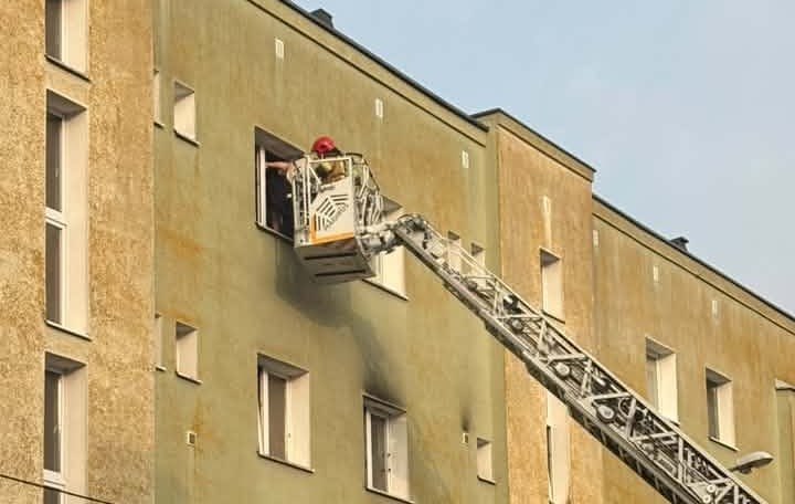 Pies wył przez cztery dni w pustym mieszkaniu w Szczecinie. Był przywiązany do łóżka, bez wody i jedzenia Zdjęcie główne wpisu