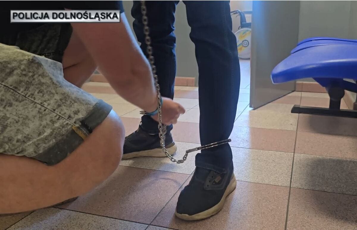 Pijany 35-latek otworzył ogień w stronę funkcjonariuszy. Interwencja pod Środą Śląską. Teraz grozi mu dożywocie Zdjęcie wpisu