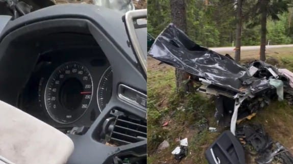 Tyle zostało z auta które wjechało w drzewa. Licznik zatrzymał się na 220 km/h Zdjęcie wpisu