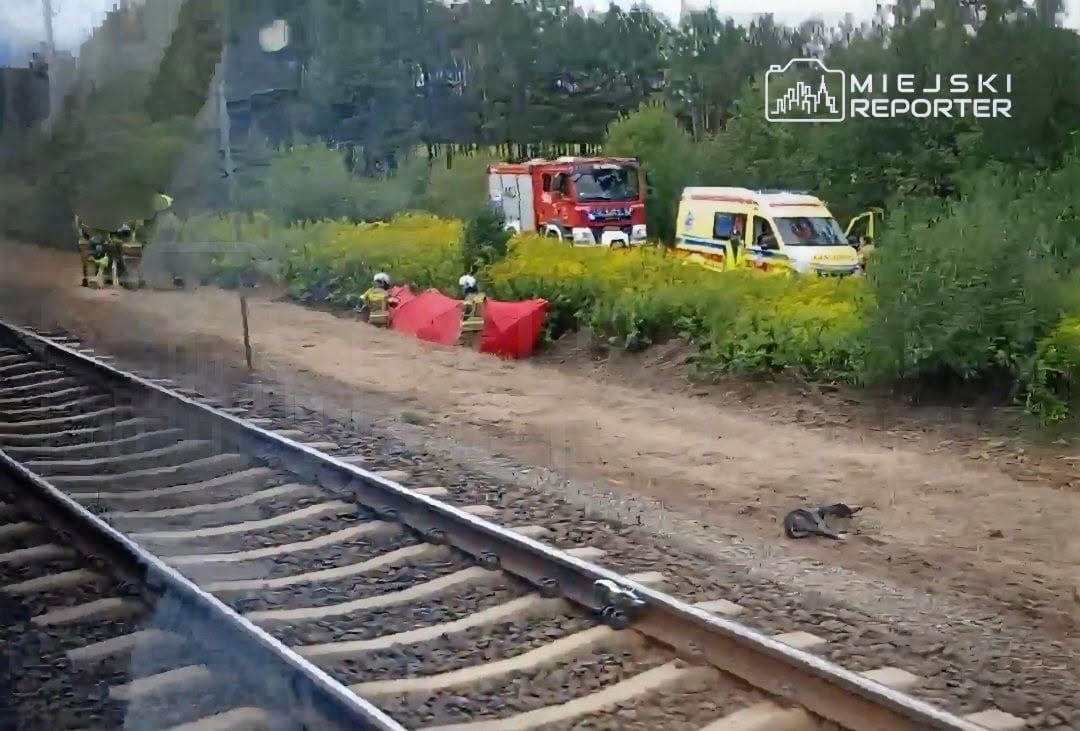 Rogatki były opuszczone, sygnalizacja działała. 50-latek na hulajnodze zginął pod pociągiem Zdjęcie wpisu