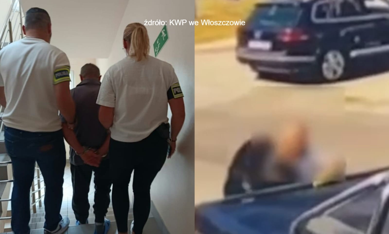 Nietrzeźwy 64-latek wyrzucił psa do kosza na śmieci. Monitoring pozwolił policji szybko ująć sprawcę Zdjęcie wpisu