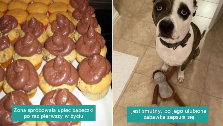 16 zdjęć, które wzbudzają współczucie i potrzebę pocieszenie tych pechowców Zdjęcie główne wpisu