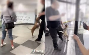 „Bierz go!" W galerii Młociny kobieta szczuła psem na klientów. Ponoć wcześniej pies pogryzł dziecko