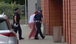3-miesięczny areszt dla lekarki z Lutoryża, gdzie znaleziono 32 płody. Grozi jej do 12 lat więzienia