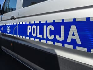 3-latek błąkał się przy ruchliwej ulicy. W mieszkaniu pijana matka, dwoje zaniedbanych dzieci i pies w fatalnym stanie