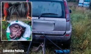 Wpadł na kradzieży kabli i próbował się wykupić. Zaoferował policjantom 4 tysiące, żeby go puścili