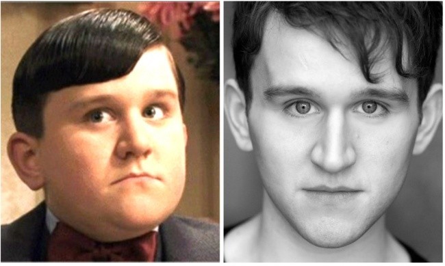 Dudley Dursley czyli  Harry Melling