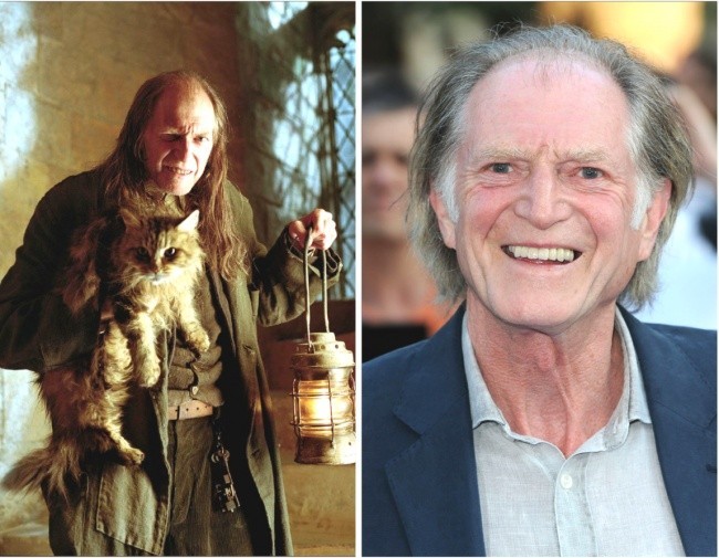 Argus Filch czyli  David Bradley