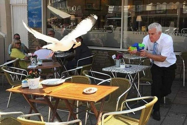 Kiedy jesteś kelnerem w nadmorskiej restauracji 