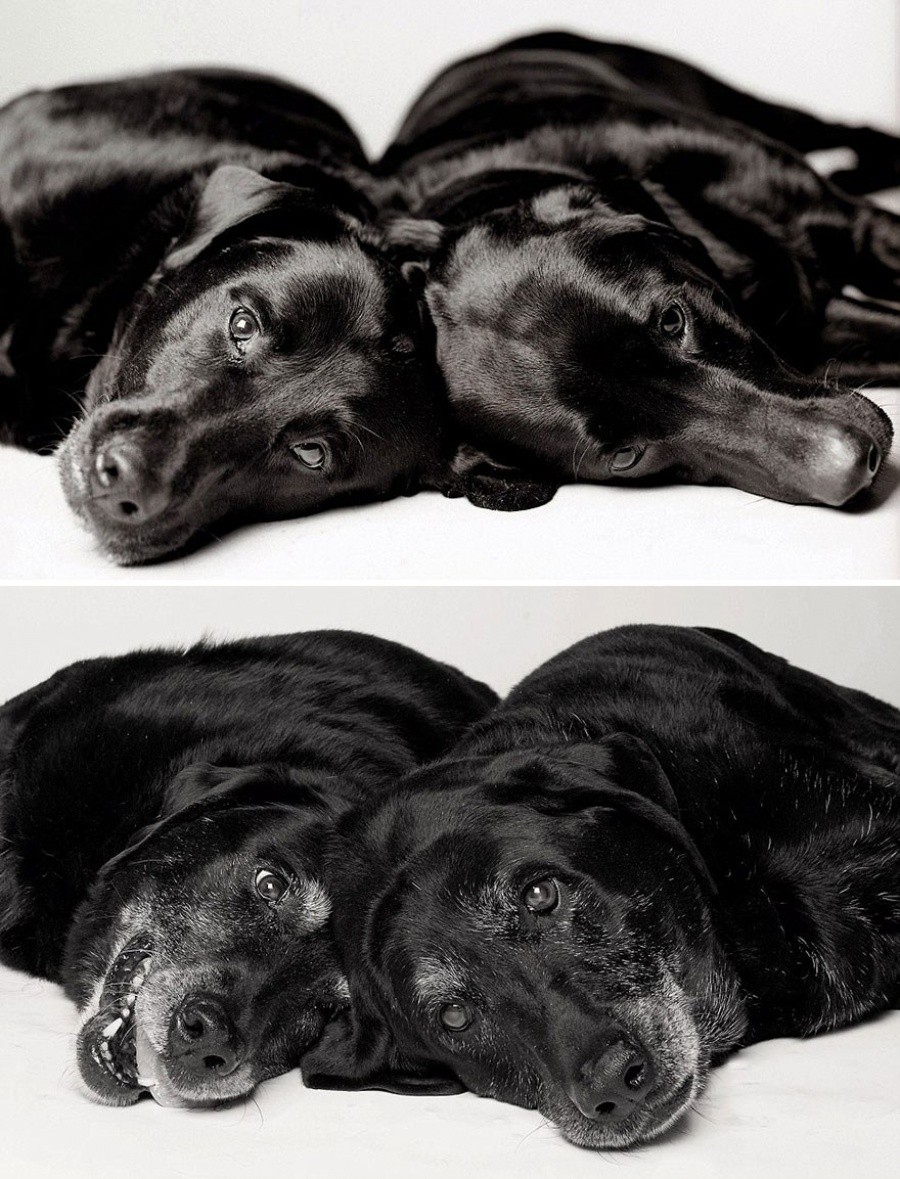 Maddie — 7 LAT/14 LAT; Ellie - 6 LAT/13 LAT