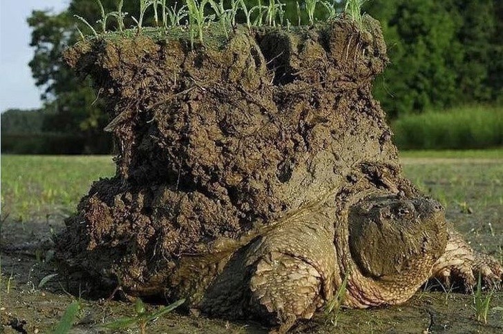 Jeśli myśleliście, że Ziemia jest płaska...