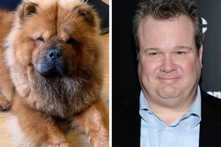 13. Eric Stonestreet