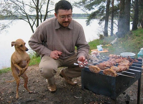 1. Zgredek chce jeść, ale Zgredek jest dobrym pieskiem, więc nie szczeka