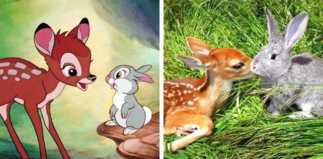 Bambi (Bambi)