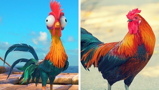 HeiHei (Vaiana: Skarb oceanu)