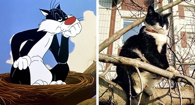 Sylvester (The Looney Tunes Show)