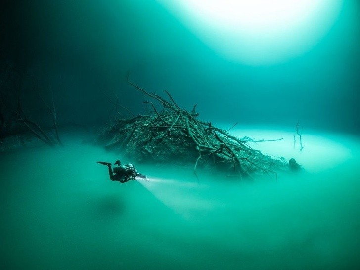 Podwodna rzeka w Cenote Angelita, w Meksyku.