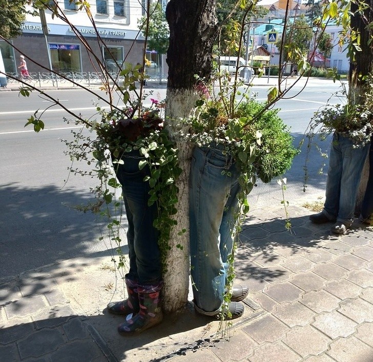 Skoro zwierzęta mogą chodzić w ubrankach...