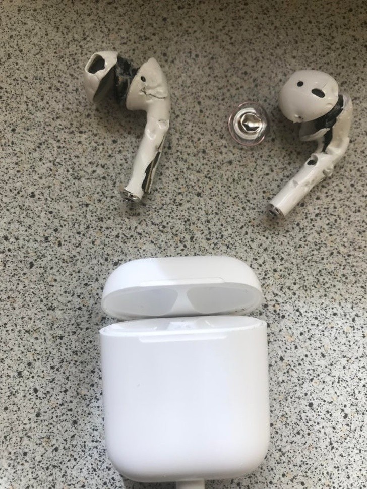 Kupiłem AirPods. Mój pies jest z nich bardzo zadowolony