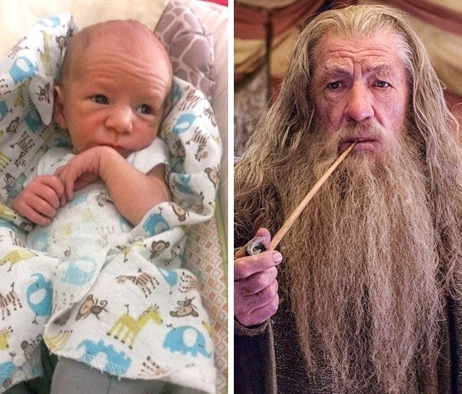 2. Gandalf znalazł swoją kopię !