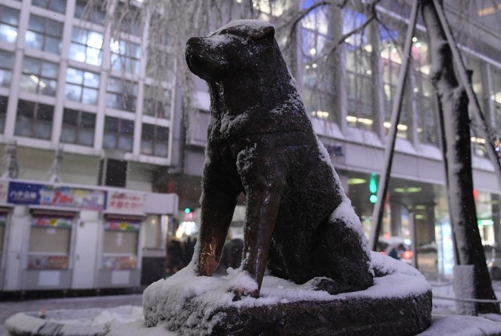 4. Posąg Hachiko