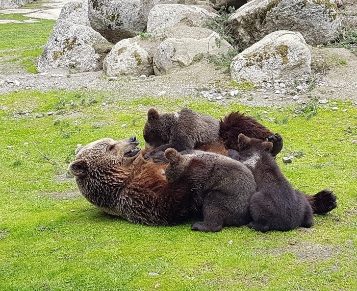 16. Zabawa z dziećmi to mnóstwo frajdy.