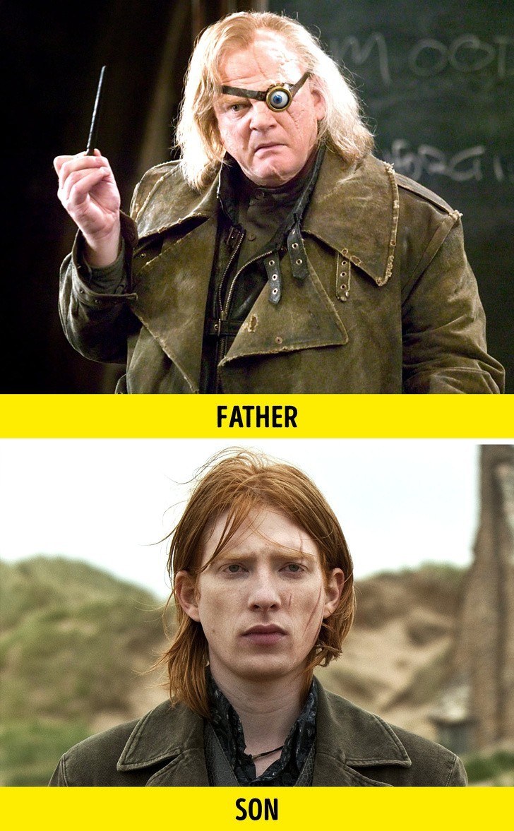 1. Brendan Gleeson i Domnhall Gleeson - seria Harry Potter