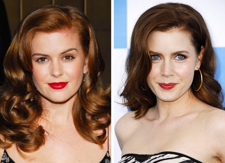 8. Isla Fisher i Amy Adams