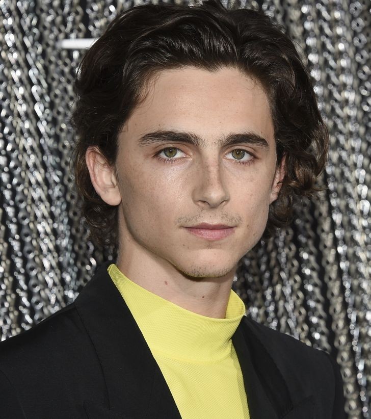 #9. Timothée Chalamet, aktor