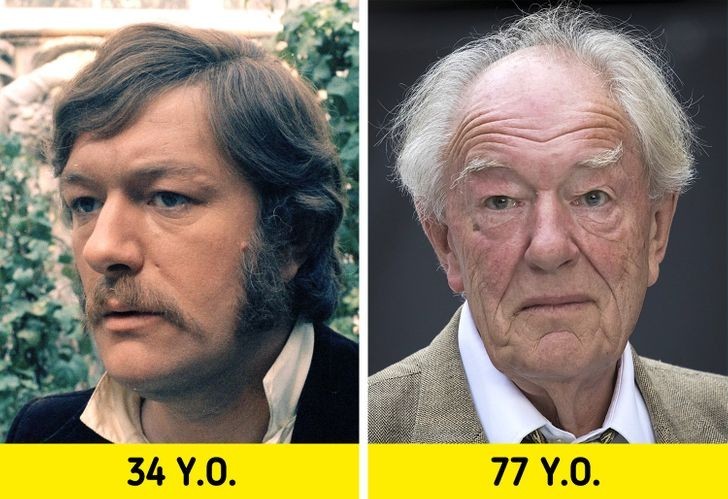 Michael Gambon