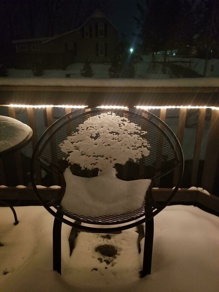 Topniejący śnieg na tym krześle przypomina drzewo.