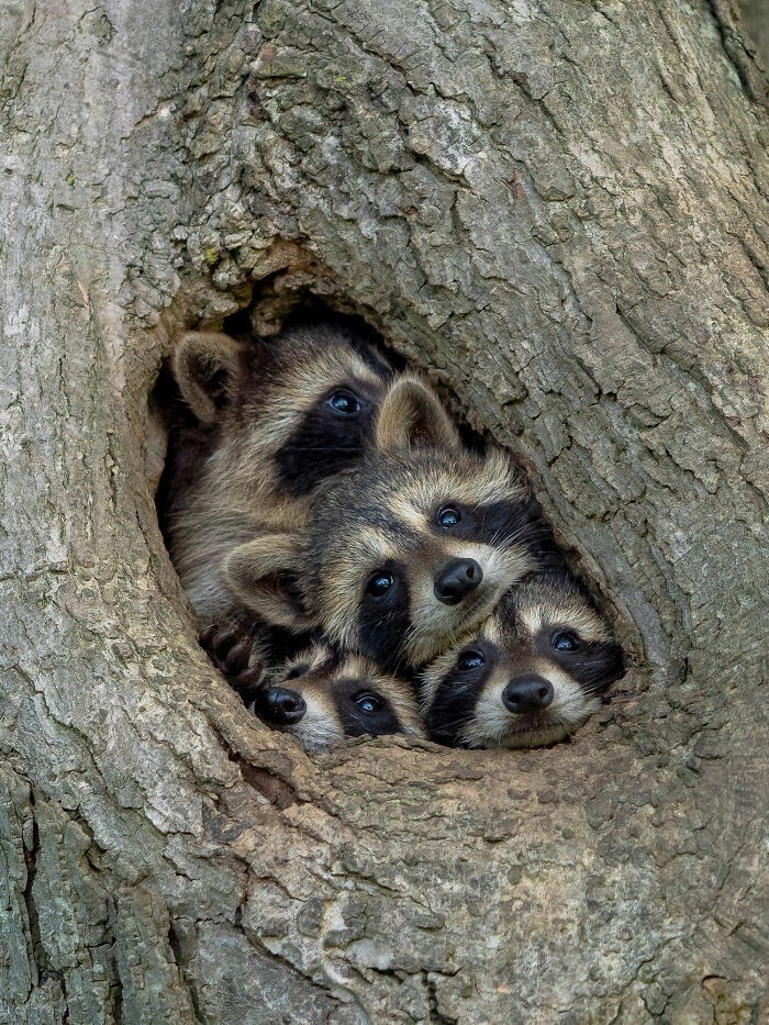 Życie na kwarantannie