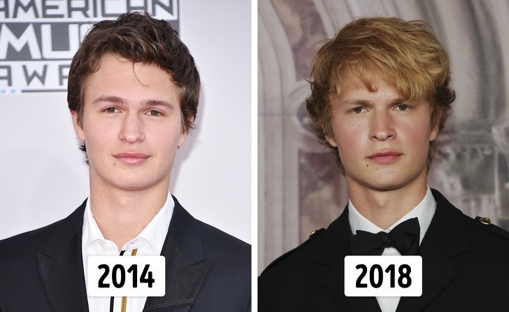 6. Ansel Elgort