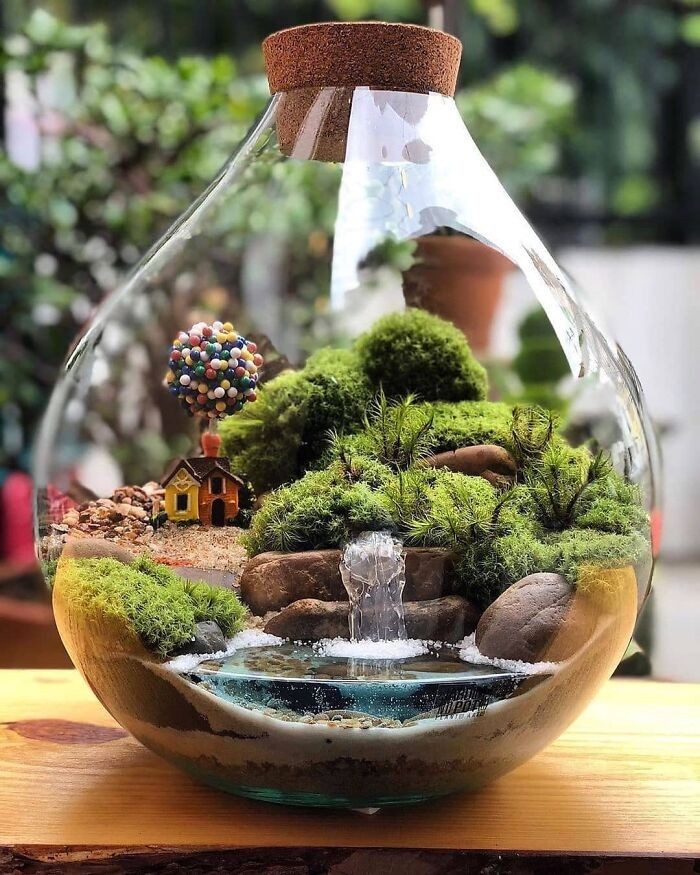 Miniaturowe terrarium autorstwa Jardim No Pote