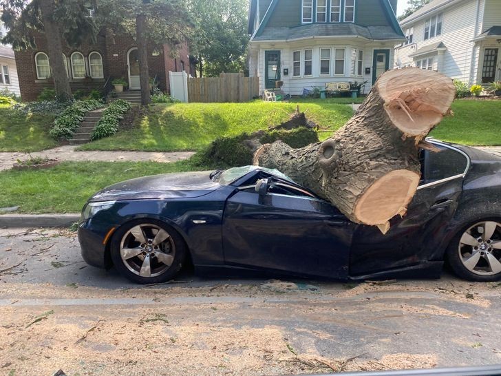 "Natura zdecydowała, że to BMW będzie kabrioletem."