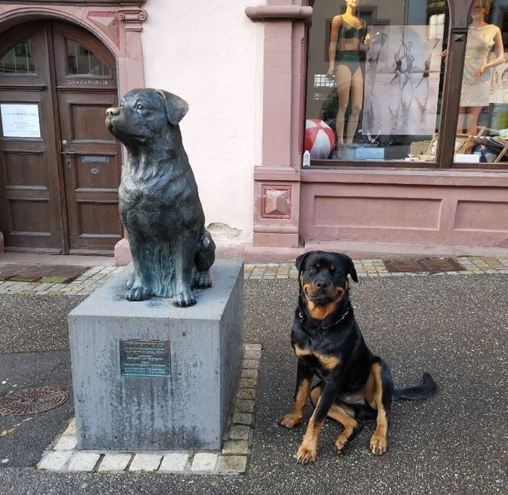 "Poznał nowego przyjaciela."