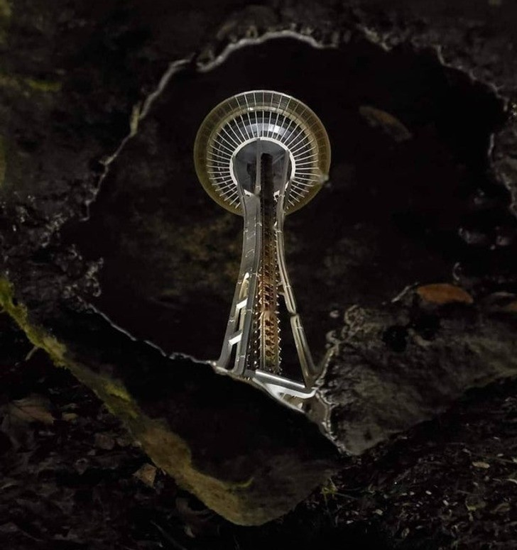 "Wieża Space Needle widziana w kałuży"