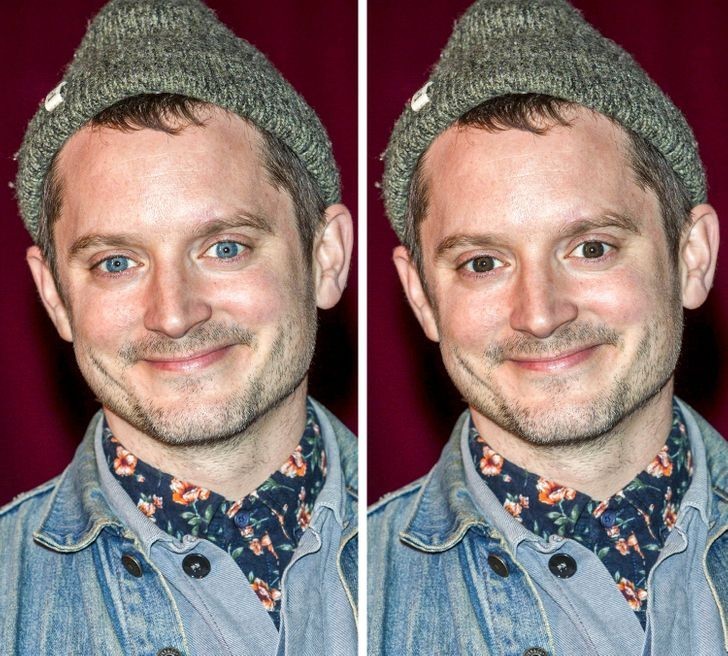 5. Elijah Wood