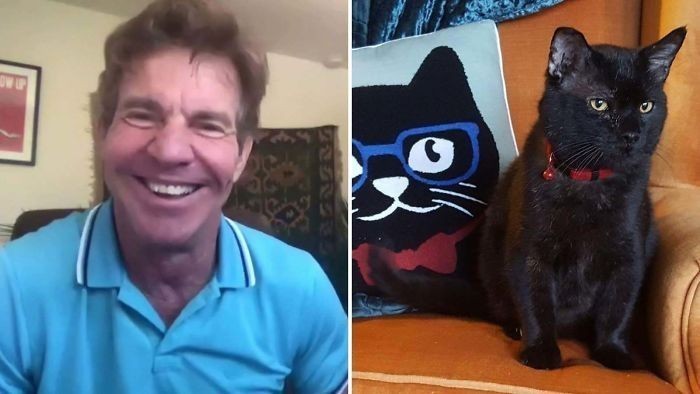 16. Aktor Dennis Quaid adoptował kota o imieniu Dennis Quaid.