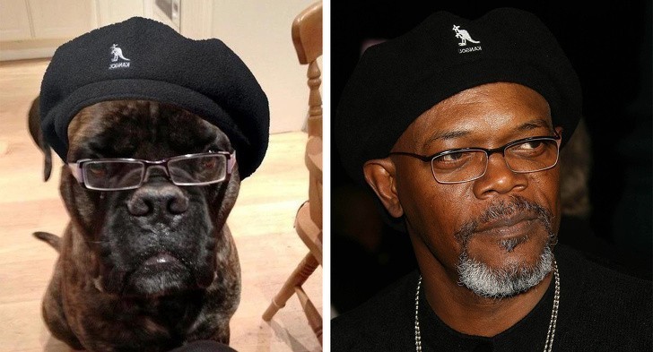 7. Samuel L. Jackson