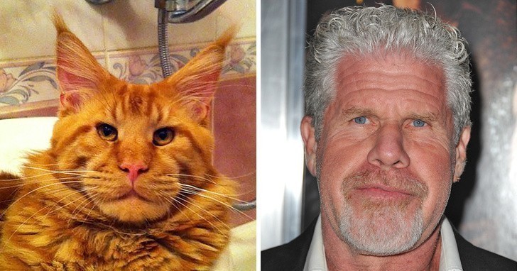 1. Ron Perlman